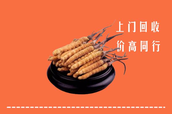 高价求购：深汕区回收散虫草
