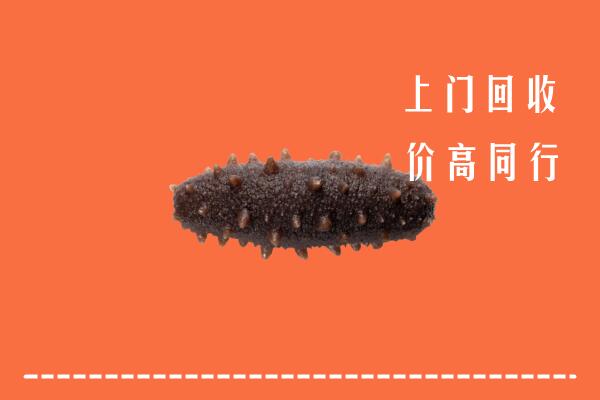 高价求购：深汕区回收海参