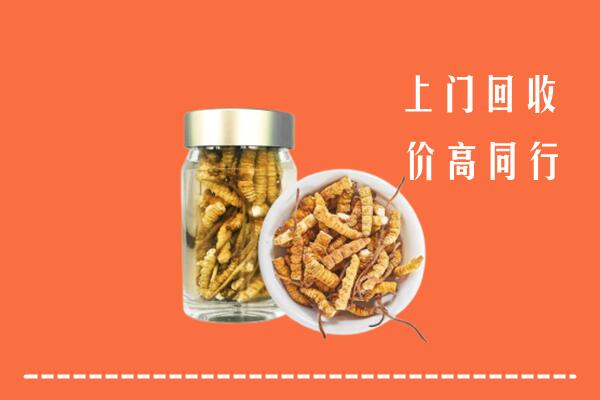 深汕区高价回收冬虫夏草