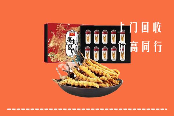 收购行情：深汕区回收虫草